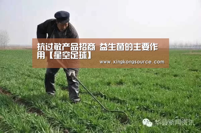 星空体育