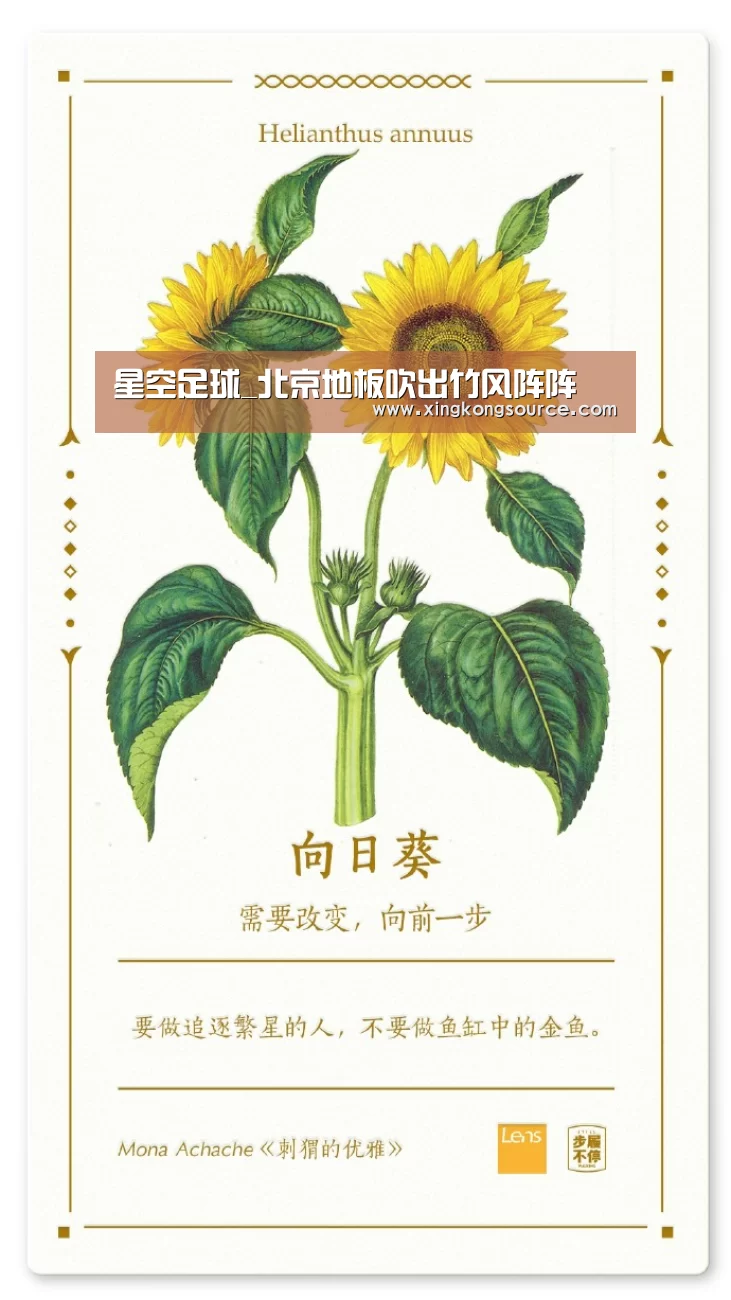 星空娱乐