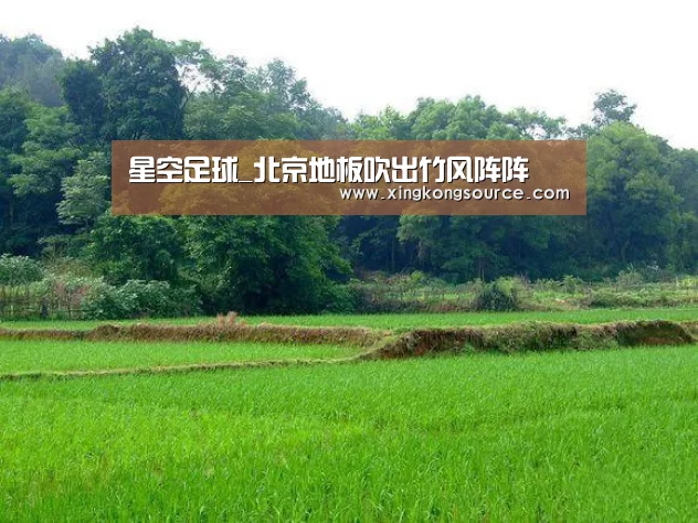 星空娱乐