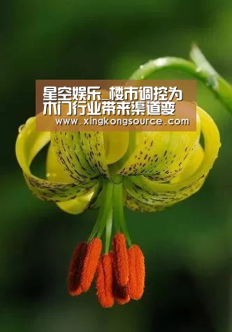 星空娱乐_楼市调控为木门行业带来渠道变革(图2) 星空娱乐