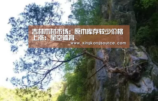 吉林木材市场:原木库存较少价格上涨:星空体育(图2) 星空娱乐