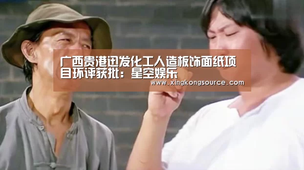 广西贵港迅发化工人造板饰面纸项目环评获批：星空娱乐(图4)