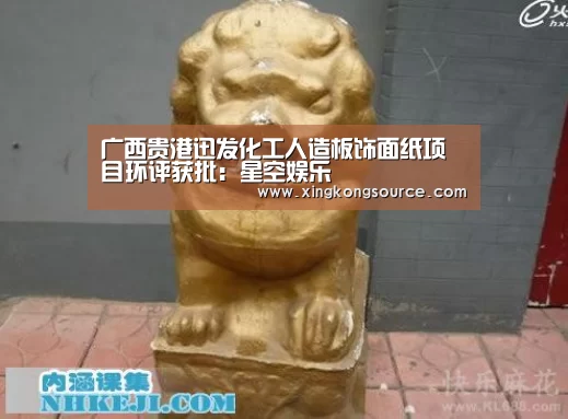 广西贵港迅发化工人造板饰面纸项目环评获批：星空娱乐(图3)