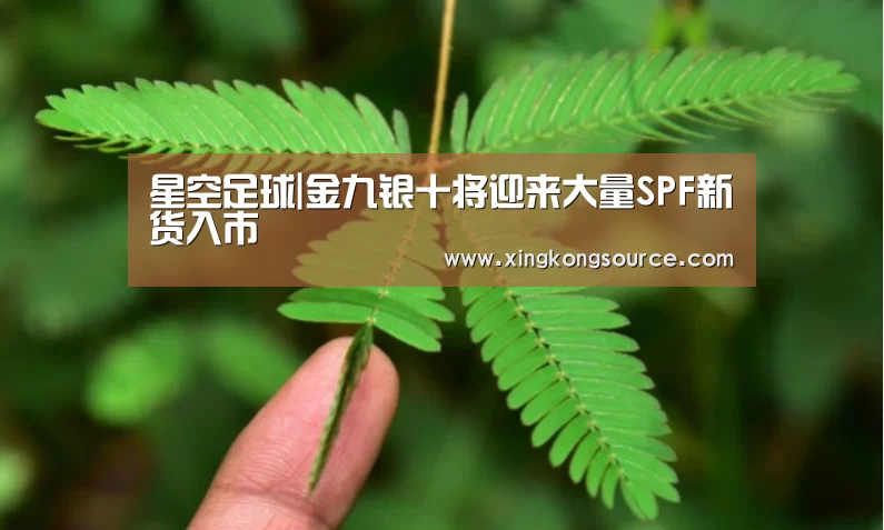 星空足球|金九银十将迎来大量SPF新货入市(图2) 星空娱乐