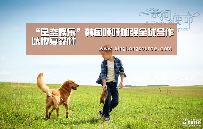“星空娱乐”韩国呼吁加强全球合作以恢复森林(图1) 星空体育