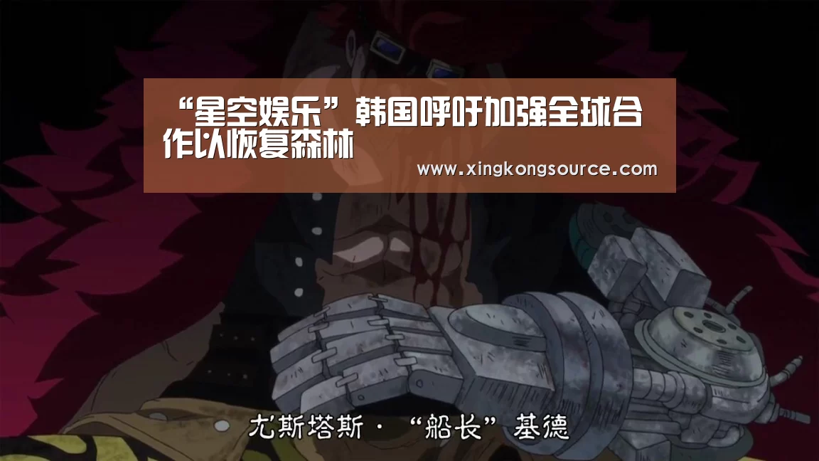 “星空娱乐”韩国呼吁加强全球合作以恢复森林(图2) 星空娱乐